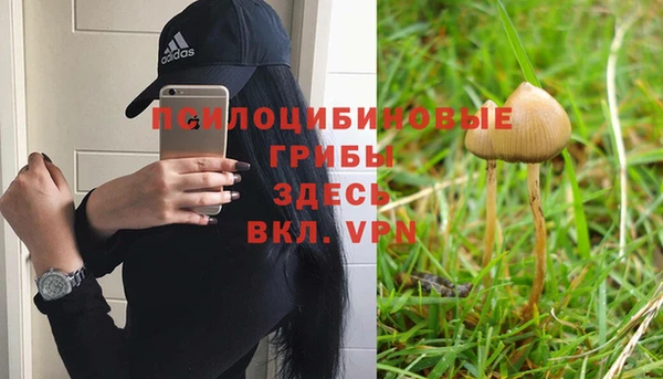 ПСИЛОЦИБИНОВЫЕ ГРИБЫ Алексин