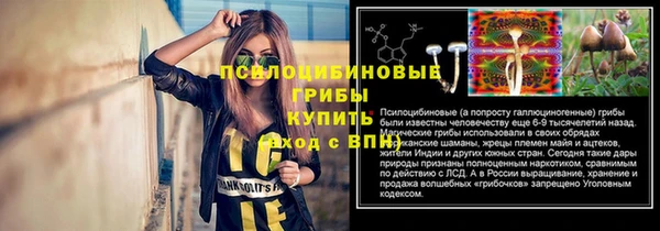 ПСИЛОЦИБИНОВЫЕ ГРИБЫ Алексин
