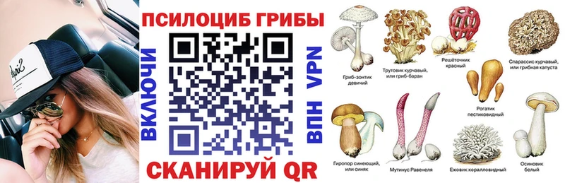 сайты даркнета телеграм  Мантурово  Псилоцибиновые грибы Cubensis  купить наркотик 